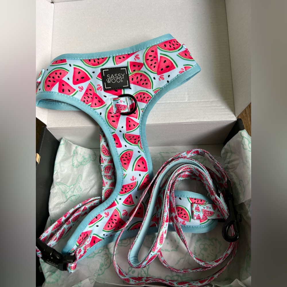 Sassy woof OH MY MELONS dog harness and leash set new with tag